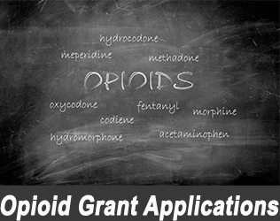 Opioid Grant Program